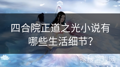 四合院正道之光小说有哪些生活细节？