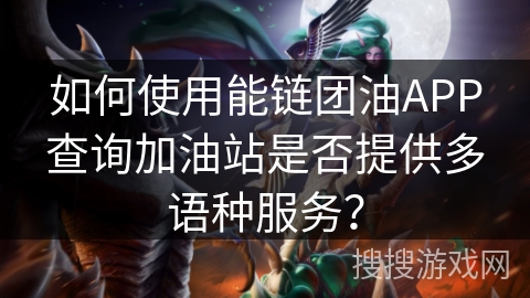 如何使用能链团油APP查询加油站是否提供多语种服务？