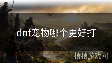 dnf宠物哪个更好打