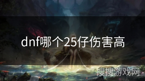 dnf哪个25仔伤害高