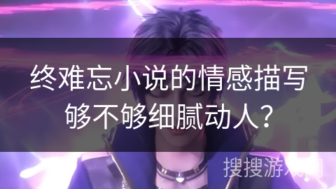 终难忘小说的情感描写够不够细腻动人？