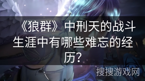 《狼群》中刑天的战斗生涯中有哪些难忘的经历？