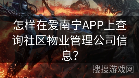 怎样在爱南宁APP上查询社区物业管理公司信息？