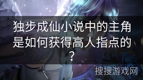 独步成仙小说中的主角是如何获得高人指点的？