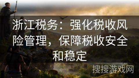 浙江税务：强化税收风险管理，保障税收安全和稳定