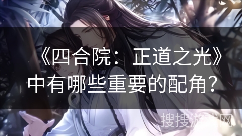 《四合院：正道之光》中有哪些重要的配角？