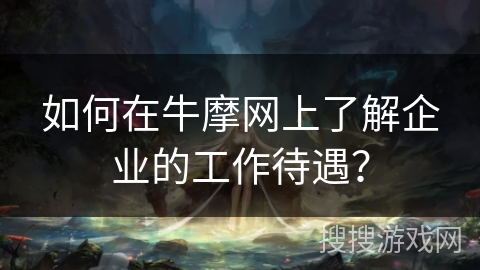 如何在牛摩网上了解企业的工作待遇？