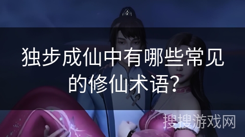 独步成仙中有哪些常见的修仙术语？