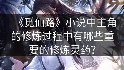 《觅仙路》小说中主角的修炼过程中有哪些重要的修炼灵药? 《觅仙路》小说中主角的修炼过程中有哪些重要的修炼灵药?