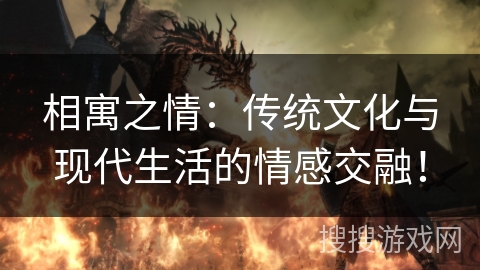 相寓之情：传统文化与现代生活的情感交融！