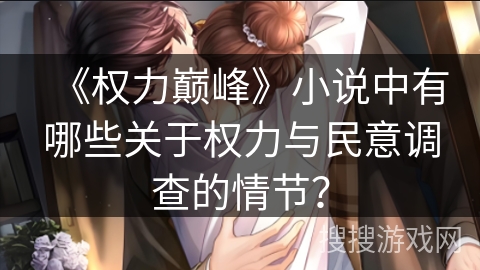 《权力巅峰》小说中有哪些关于权力与民意调查的情节？