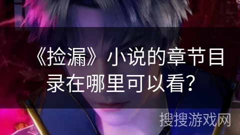 《捡漏》小说的章节目录在哪里可以看？