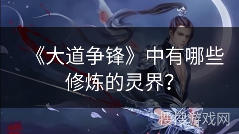 《大道争锋》中有哪些修炼的灵界？