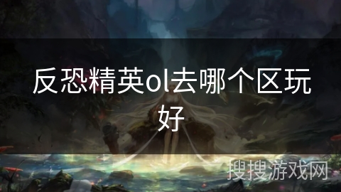 反恐精英ol去哪个区玩好