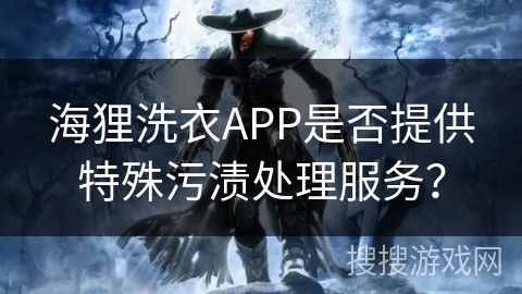 海狸洗衣APP是否提供特殊污渍处理服务？