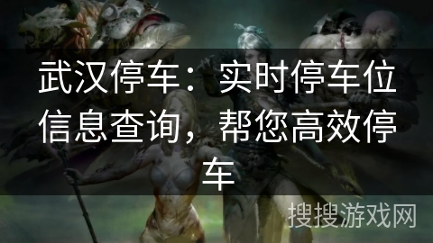 武汉停车：实时停车位信息查询，帮您高效停车