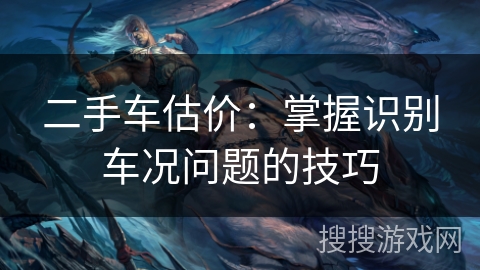 二手车估价：掌握识别车况问题的技巧