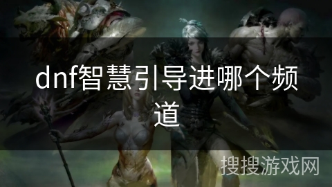 dnf智慧引导进哪个频道