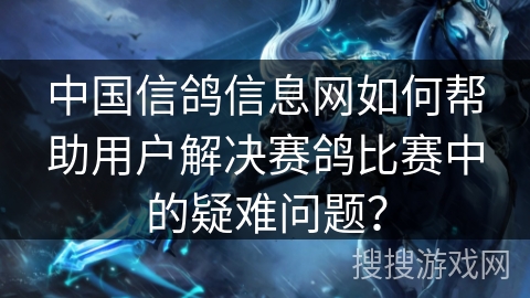 中国信鸽信息网如何帮助用户解决赛鸽比赛中的疑难问题？