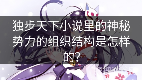 独步天下小说里的神秘势力的组织结构是怎样的？