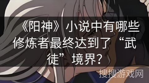 《阳神》小说中有哪些修炼者最终达到了“武徒”境界？