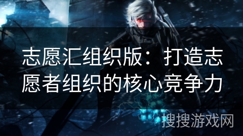 志愿汇组织版：打造志愿者组织的核心竞争力