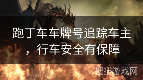 跑丁车车牌号追踪车主，行车安全有保障