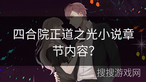 四合院正道之光小说章节内容？