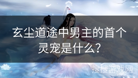玄尘道途中男主的首个灵宠是什么？