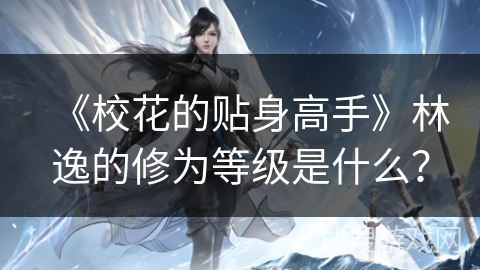 《校花的贴身高手》林逸的修为等级是什么？