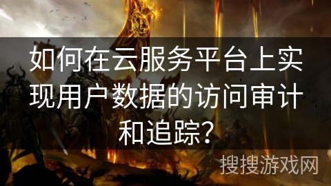 如何在云服务平台上实现用户数据的访问审计和追踪？