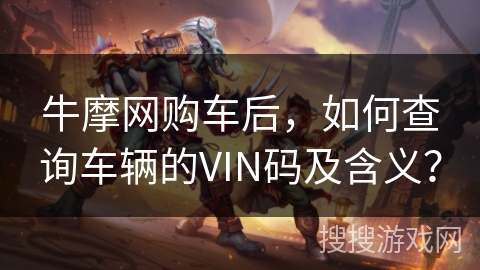 牛摩网购车后，如何查询车辆的VIN码及含义？