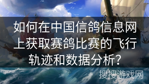 如何在中国信鸽信息网上获取赛鸽比赛的飞行轨迹和数据分析？