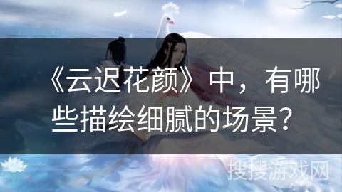 《云迟花颜》中，有哪些描绘细腻的场景？