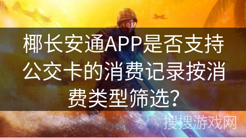 椰长安通APP是否支持公交卡的消费记录按消费类型筛选？