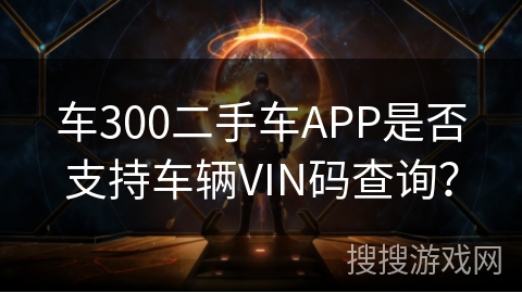 车300二手车APP是否支持车辆VIN码查询？