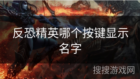 反恐精英哪个按键显示名字