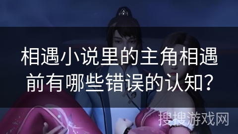相遇小说里的主角相遇前有哪些错误的认知？