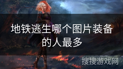 地铁逃生哪个图片装备的人最多