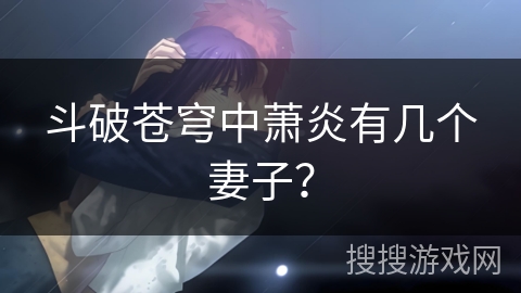 斗破苍穹中萧炎有几个妻子？