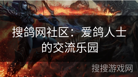 搜鸽网社区：爱鸽人士的交流乐园