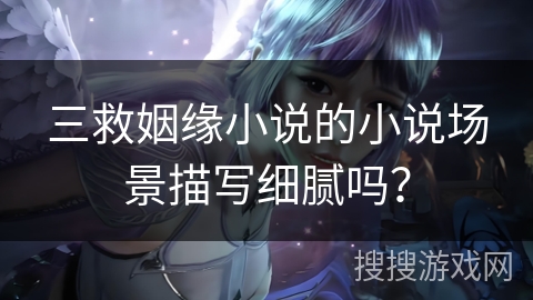 三救姻缘小说的小说场景描写细腻吗？