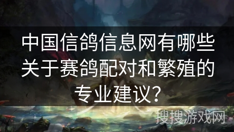 中国信鸽信息网有哪些关于赛鸽配对和繁殖的专业建议？