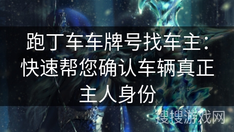 跑丁车车牌号找车主：快速帮您确认车辆真正主人身份