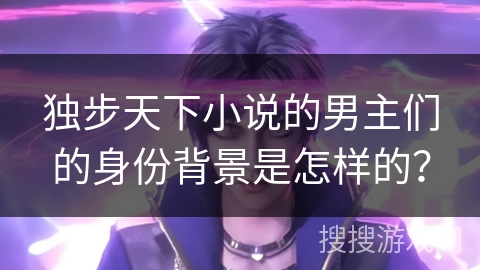 独步天下小说的男主们的身份背景是怎样的？