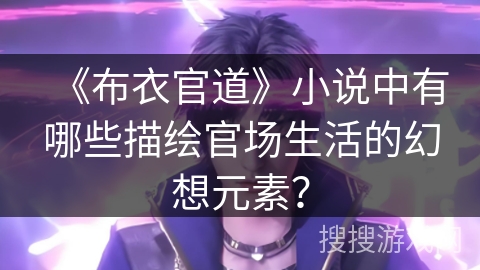 《布衣官道》小说中有哪些描绘官场生活的幻想元素？