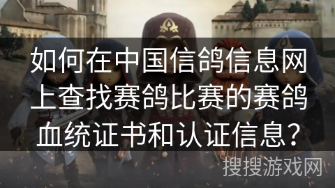 如何在中国信鸽信息网上查找赛鸽比赛的赛鸽血统证书和认证信息？