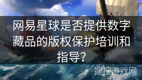 网易星球是否提供数字藏品的版权保护培训和指导？