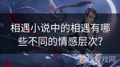相遇小说中的相遇有哪些不同的情感层次？