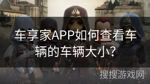 车享家APP如何查看车辆的车辆大小？